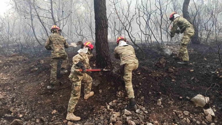 ΠΟΕΣ: Όχι στρατός στα δάση με απλήρωτες υπερωρίες